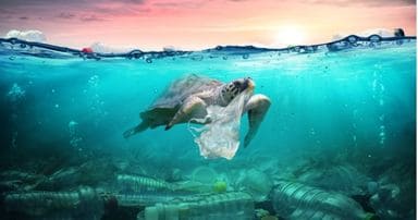 замърсяването на океана с пластмасови торбички