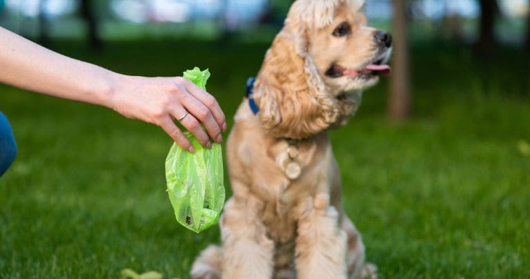 monopacking pet waste bags