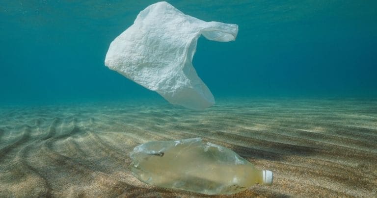 les sacs en plastique polluent le milieu marin