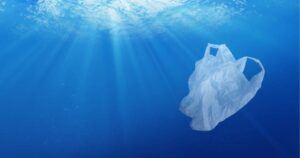 say goodbye to plastic bags