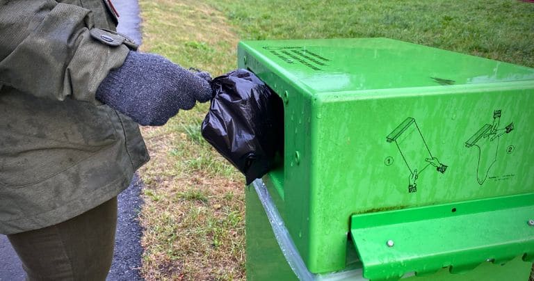 compostable poop bags uk